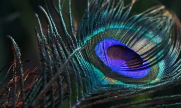 mahabharata-a-grand-epic-depicting-dharma-through-war-and-governance