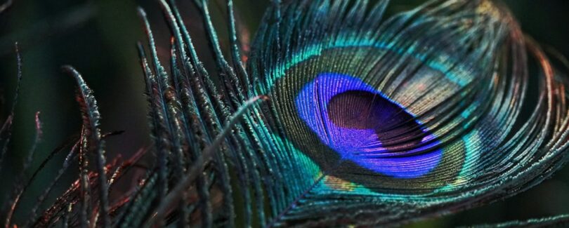 mahabharata-a-grand-epic-depicting-dharma-through-war-and-governance